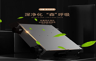 巴迪斯新品——黑金·系列，即將登場